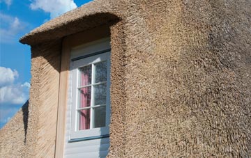 Clayhidon thatch roof disadvantages